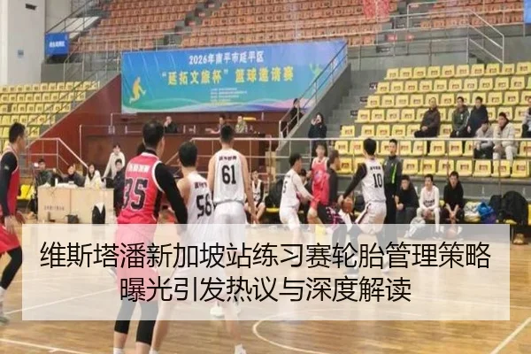 维斯塔潘新加坡站练习赛轮胎管理策略曝光引发热议与深度解读
